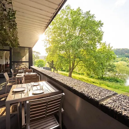 Mice Collection Business- Und Stadthotel An Der Mosel Nahe Swt Arena Und Viking Anleger Otel